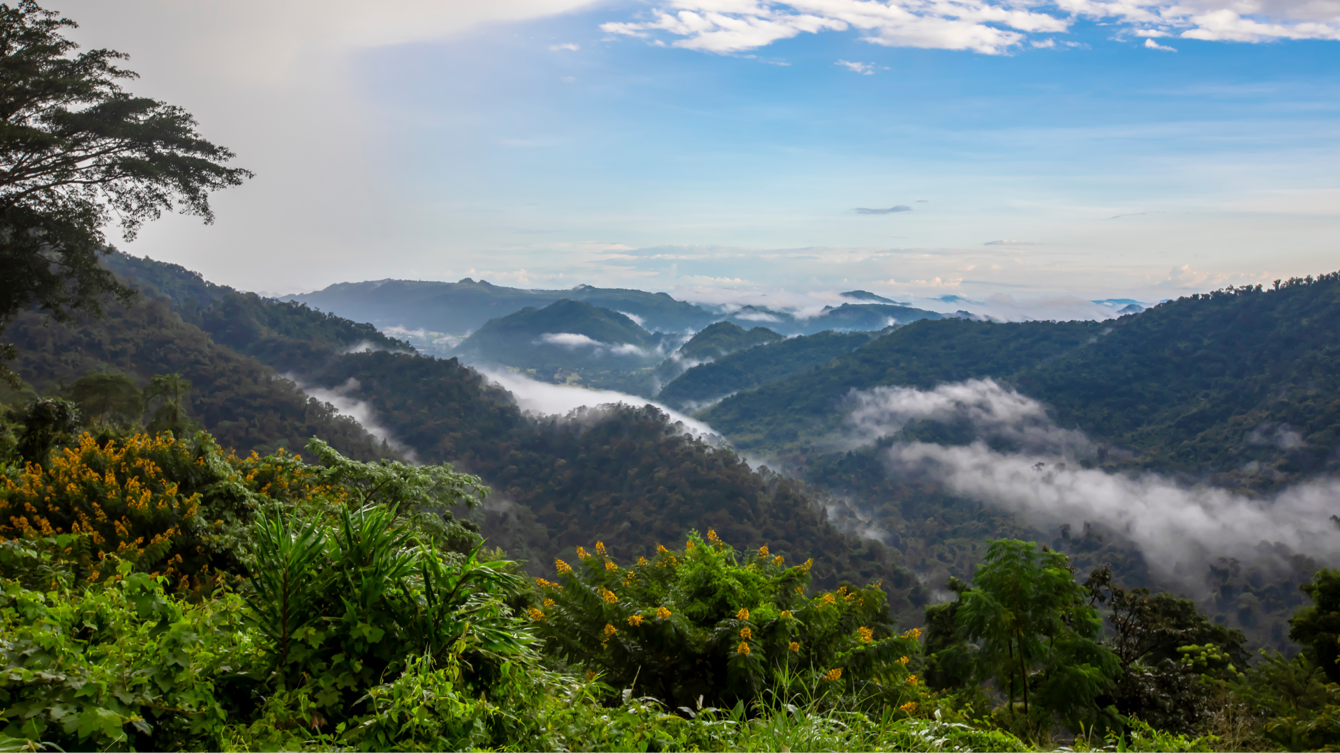 Khao Yai National Park